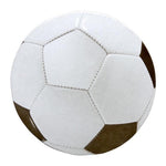 Coasters Soccer